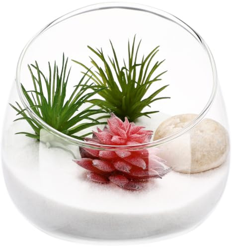 Glas Terrarium mit Deckel aus Borosilikatglas, Dickwandig, Dekorativ | Pflanzglas, Klare Schräg Geschliffene Form, für Schlafzimmer und Laden, Elegante Deko