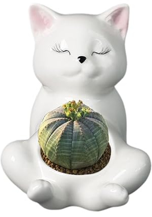 Pentole di piccole fioriere, pentola per interni | Ceramica a di gatto vasi di fiori per tavolo,Adorabili accessori per la casa forniture per impianti per la scrivania da davanzali da davanzali da ban