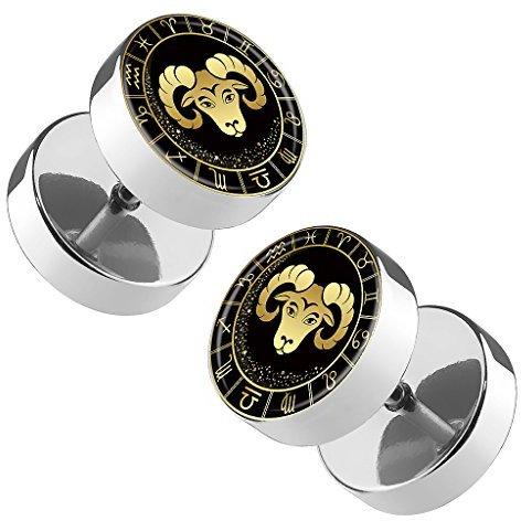 Piersando 1 Paar Ohrringe Fake Ohr Plug mit Sternzeichen Motiv
