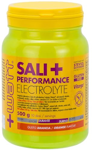 Sali+ Performance Electrolyte Barattolo da 500g - Carboidrati, vitamine, sali minerali, aminoacidi, caffeina, carnitina a sostegno delle performance di resistenza - Gusto Arancia