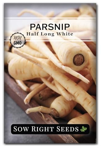 Sow Right Seeds - Half Long White Parsnip Seeds for Planting - Non-GMO Heirloom Packet with Instructions to Plant an Outdoor Home Vegetable Garden - White Flesh Root Parsnip - Spring and Fall (1)