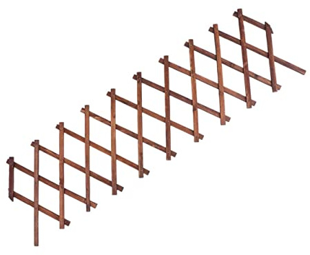 TOYANDONA Treillis Extensible en Bois Carbonisé pour Plantes Grimpantes Jardin Extérieur 44x22cm Anti-Corrosion Support De Vigne Mural Adaptable
