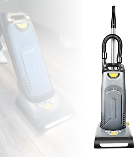 Mattdammsugare, sugeffekt: 190 mbar, nominell effekt: 1200 watt, dammbehållarens kapacitet: 5,5 liter, sugslang, med roterande borste, non-woven filterpåse.