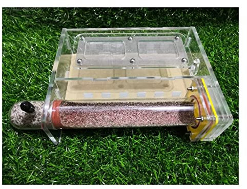 Ameisenzuchtbox, Ant Farm, Glas Reagenzglas Ameisennest DIY Acryl Ameisenhaus Futterbereich Bauernhof Haustier Ameisenhaufen Werkstatt Ökologische Ameisenzuchtschloss Befeuchten Villa Ameisen