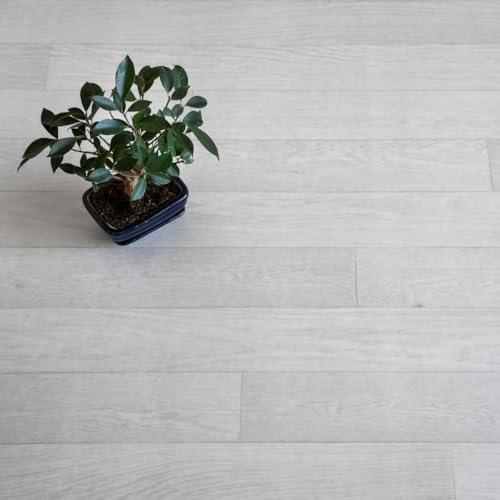 FloorPro Dexter White Vinyl Plank Design Vinyl Roll Flooring White Grey Stylish Plank Pattern Cushioned Bathroom Kitchen Lino Flooring (1, 3metres x 2metres (9ft 10 x 6ft 6))