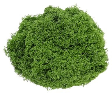 Enjoyaa 50g Kunstmoos Natürliches Dunkelgrünes Kunstmoos Bastelmoos Künstliche Flechten Künstliche Grünpflanzen Moosblätter Filamentöses Kunstmoos für Blumen Pflanzen Garten Rasen Bastel Dekoration