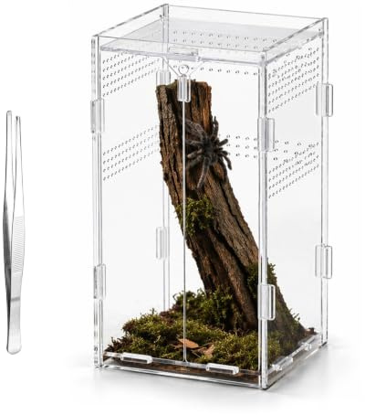 SCBOY Acryl Terrarium Springspinne Terrarium mit Einer Pinzette 12×12×20cm Für Reptilien und Amphibien Spinnen Eidechsen Käfer Frösche und Insekten usw Multifunktionale faunarium
