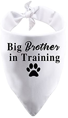 1 Stück Big Sister/Brother in Training Hundehalstuch, für Schwangerschaft, Ankündigung, Geschlecht offenbaren Geschenk (großer Bruder, weiß)