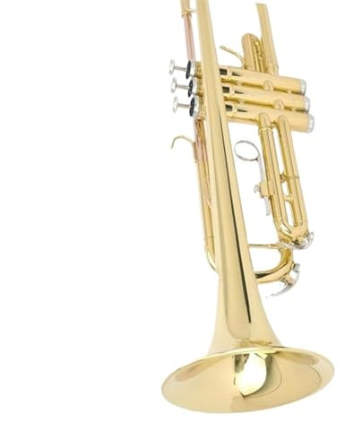 Professionelles Musikinstrument Trompete Musikinstrument Trompete Mit Phosphorbronze-Mundstück In B Für Professionelle Darbietung