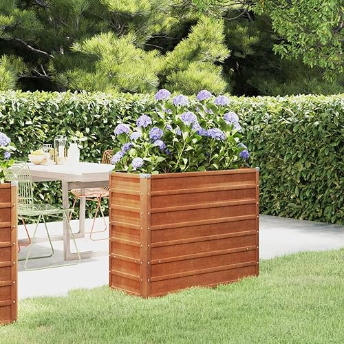 BaraSh Lit surélevé de Jardin rouillé 100x40x77 cm Acier corten,Bordure Pierre,Kit Gabion,Gabion Jardiniere