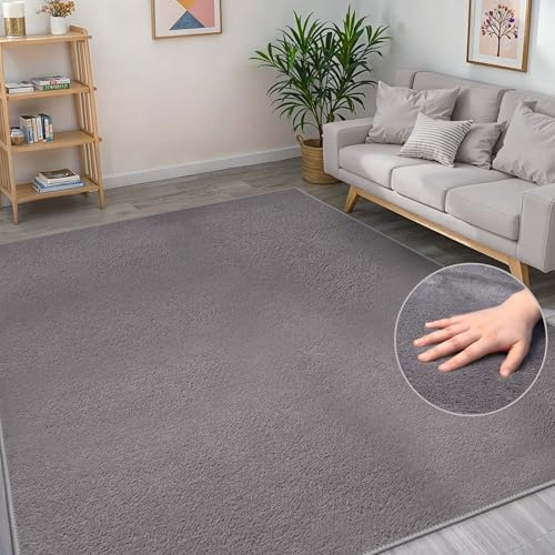 BEIMO Washable Rugs Living Room 60X110CM, Grey Area Rugs for Bedroom Non Sheeding, Large Anti Slip Low Pile Carpet Modern Fluffy Shaggy Rug for Dining Room, Kids Bedroom