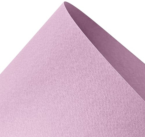 Netuno 100x Künstlerkarton Lila DIN A4 21x29,7 cm einseitig strukturiert | 220g Prisma Lilla · steifer Bastelkarton mit Struktur für Einladungen, Menükarten, Scrapbooking & Kartengestaltung