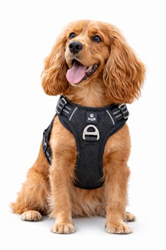 No Pull Dog Harness for Small Dogs – Adjustable Padded Chest Harness with Front D-Ring & Reflective Stitching, Black | IzzyB Pet Products
