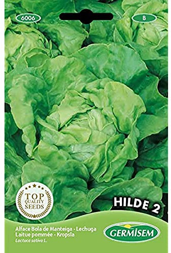 Germisem Hilde 2 Semi di Lattuga 4 g