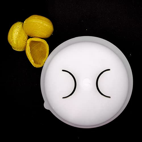 PASTADISC - Orecchiette Pasta Shape Discs Fit For Philips Automatic Pasta & Noodle Maker, Philips Pasta Maker Attachments, Kitchen Appliances, Accessory Kit (Orecchiette 23-1.4mm)