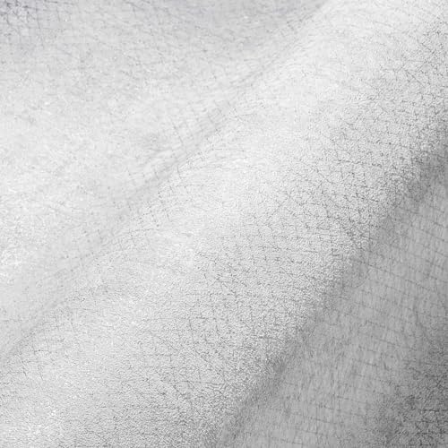 A.S. Création THE BOS 388261 Papier peint intissé métallique Gris argenté 10,05 m x 0,53 m Fabriqué en Allemagne