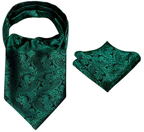 Alizeal Herren Modern Paisley Cravat & Pocket Square Set