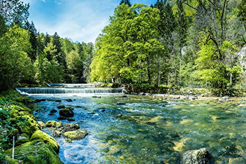 Muralo Fabelhafte Selbstklebende Vlies Fototapete Wald Bäume Wasserfall Natur Moderne Tapete Wohnzimmer Schlafzimmer Wandbilder Wandtapete XXL Luxus Abstrakt Br.270xHö.180