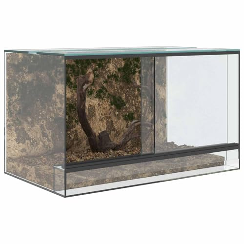 Terrarium aus Glas, Terrarium Futterbox für Reptilien, Amphibien, Weiß, 50 x 30 x 30 cm