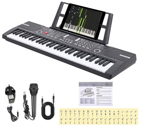 Ccarzzi Keyboard Piano, Portable 61 Keys Electric Keyboard Piano with Microphone, Piano Note Stickers, 100 Instrument Voices, Digital Keyboard for Kids, Beginners and Adults