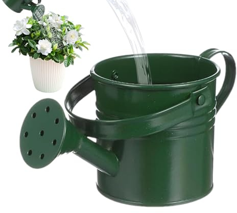 Canna Da Irrigazione - Acqua | Irrigazione Zincata Di Ferro Può | Resit Waterer A Prova Di Ruggine | Contenitore Di Fiori con Maniglia per Amici Famiglia T