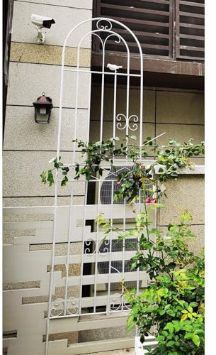 BZCKBZ Gartenspalier aus Eisen, Langlebig und Robust, Gewölbte Außendekoration Mit Vogel für Rasen, Garten, Hinterhof, Kletterpflanzen – Schwarz, Weiß(Color:White,Size:180 * 50cm/70.9 * 19.7in)