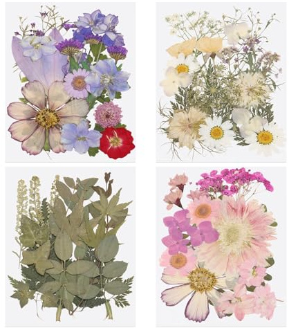 PATIKIL 80 Unidades de Hojas y Flores Prensadas Secas a Granel, Flores Naturales para Manualidades Florales en Resina DIY, Scrapbooking, Joyería, Colores Morado Rosa Verde