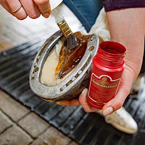 Kevin Bacon Nur das Beste für das Pferd perfekte Hufpflege Kombiset