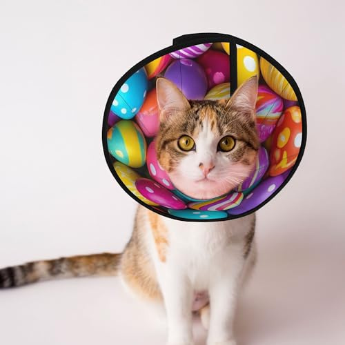 Qewfoju Colorful Easter Eggs 1 Print Cat Cone Collar Cats Neck After Surgery to Stop Licking and Scratch Cone Lightweight Pet Head Cones for Cats