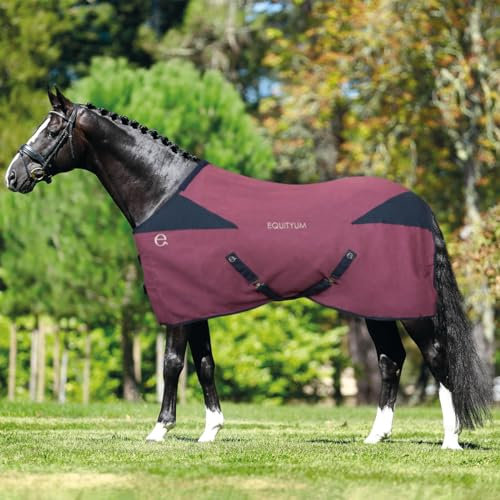 Equityum Leilah Baumwolldecke, schützt das Pferd vor Temperaturschwankungen (120 cm, Blau/Braun)