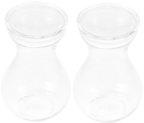 IMIKEYA 2pcs Hydroponic Plant Glass Vase Unique Flower Vase for Desktop Decor Aesthetic