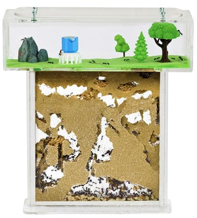 AntHouse - Fourmilière Naturelle en Sable | Kit T Acrylique 15x15x1,5 cm | Fourmis Incluses