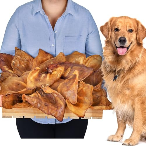 Orejas de cerdo para perros, 20 unidades, tamaño L, 1 kg, orejas de cerdo secas enteras, artículos para masticar, 100% naturales, diversión masticable de larga duración, sin cereales, ideal para