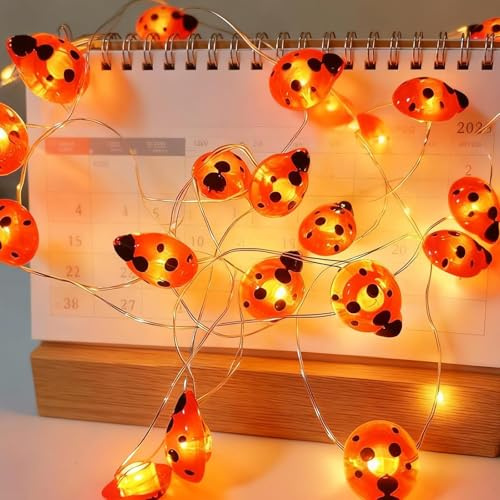 VIKY® Marienkäfer Lichterkette Frühling Deko, 2M 20 LED Lichterkette Marienkäfer Deko, Ladybug Lichterketten Innen, Lady Bug String Lights für Kinderzimmer, Hochzeit, Garten, Balkon, Geburtstagsdeko