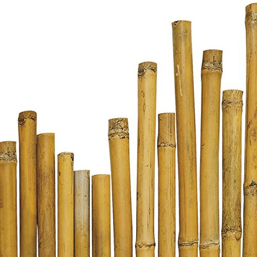 arredogiardini.it N° 25 Canne Bamboo bambù cm 300 x Ø mm 28-30 per Piante,Agricoltura,orto,arredi,strutture,Decorazioni