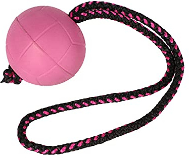 Dingo Ball BIBI Trainingsball # 7 cm mit Griff 30 cm Farbe Beere | Schwimmend, Kautschuk Gummi, Apport, Spiel mit Hund, 17251