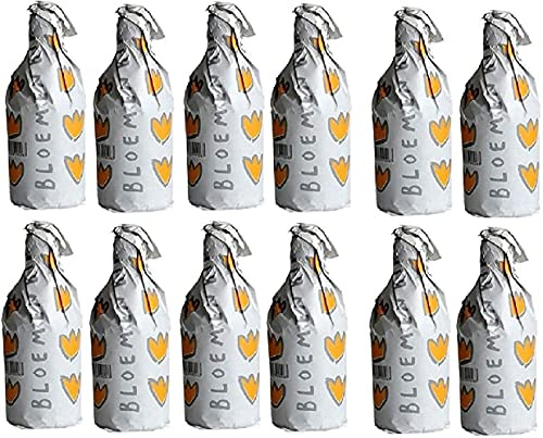 BROUWERIJ DE PROEF 24 Bottiglie Birra Bloemenbier 33 cl Belga Bionda Giallo Dorato Belgio Artigianale Luppolo Malto, Birra Bloemenbier 24 Bottiglie - 7,92 Litri