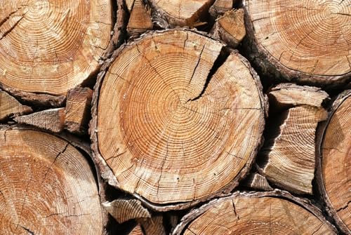 Magnettafel Pinnwand XXL Bild Holzoptik Holzscheiben Holz Größe 100 x 80 cm