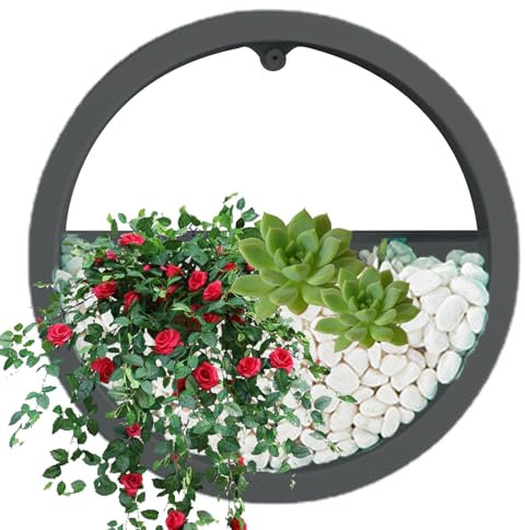 Bexdug Durchsichtiger Wandpflanzer,Durchsichtiger Übertopf zur Wandmontage | Klare Wandvase für Sukkulenten | Wandvase, Sukkulenten-Übertopf, Kreis, runder Blumentopf, vertikaler Innenbehälter