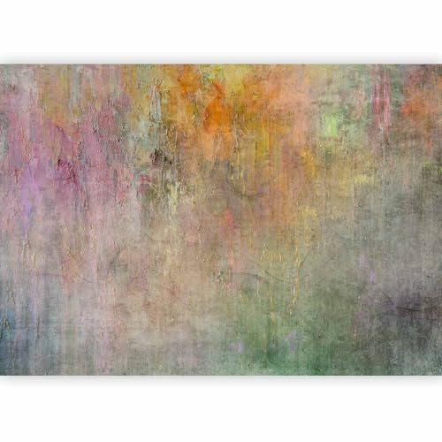 murando Fotomurales Autoadhesivo Abstracto 343x256 cm Papel Pintado | Decoración Pared Murales Pegatina Decorativos adhesivos 3d Fotográfico Aspecto concreto como pintado colorido