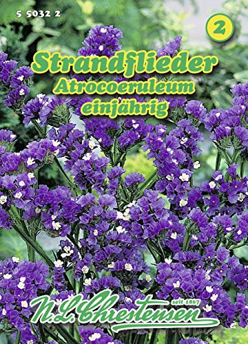 N.L. Chrestensen 550322 Strandflieder Atrocoeruleum (Strandfliedersamen)
