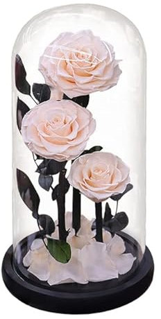 ZEYRU Eternal Preserved Roses In Glass Dome 5 Flower Heads Rose Forever Love Wedding Favor for Women Girlfriends-3 Heads White Rose