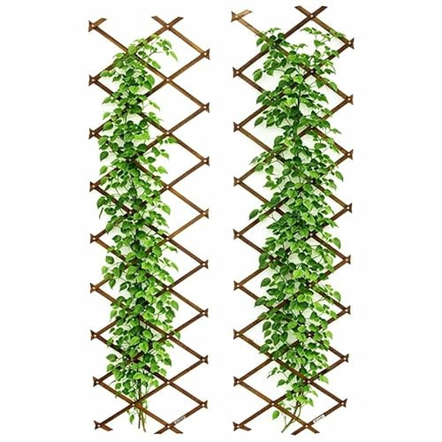 DEGAMO Rankgitter Spalier MAINAU, Akazienholz geölt, ausziehbar 180cm, 2 Stück, FSC-Zertifiziert, braun