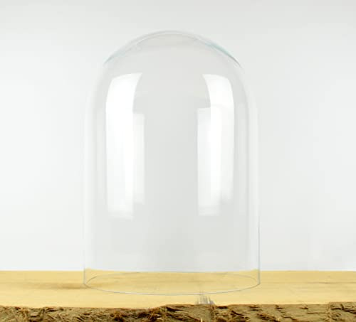 EMH Glaskuppelabdeckung, 50 cm, transparent, Dekoration, Hochzeitsornament, Glas, Hochzeit