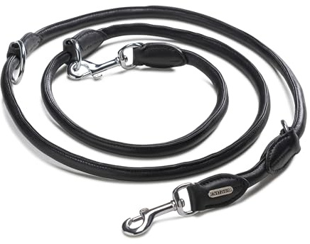 Jack & Russell Premium Leder Hundeleine 2,0m mit Edelstahl Karabiner - Hunde Lederleine mehrfach verstellbar – Rund-Leine, Führleine Davy (Schwarz)