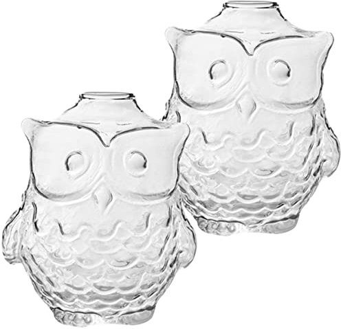 Zerodeko Hydroponische Blumenvase 2er-Set Eulen-glasvase Für Die Dekoration Zu Hause Oder Im Büro
