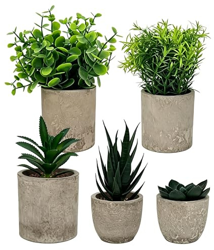 HuaCommerce 5 stycken konstgjorda växter för dekoration för vardagsrum, mini konstgjorda växter (agave, aloe, ormtunga) – perfekt för sovrum, badrum, kök, kontor, fönsterbräda och hem