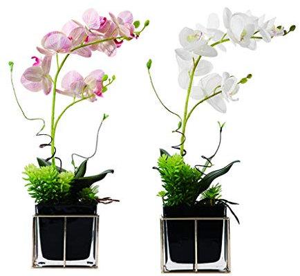 Kiaoeiuyti Fiori Artificiali Orchidea Artificiale per Interni con Vaso di Vetro Phalaenopsis Orchidea in plastica utilizzata per l'home Office Matrimonio Fiore Finto Bonsai Fiori Artificiali Fiori