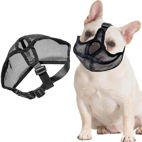 JOOTUEPO Won't Cover Stirn Hund Maulkorb für Kurze Schnauze Hund, Französische Bulldogge Maulkorb mit Verstellbarem Mesh-Kopfgurt, für Hundes mit Kurzer Schnauze Anti Beißen Kauen Bellen (M)