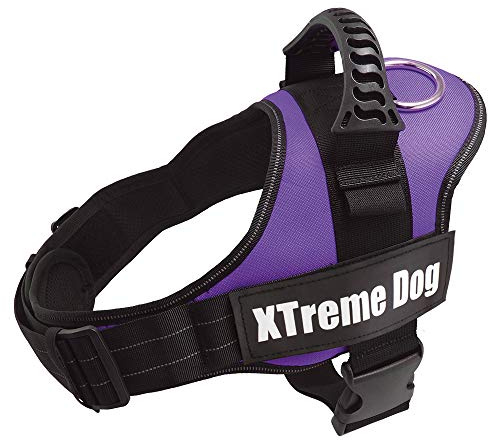 Arquivet Arnés para Perro Xtreme Dog Lila Talla: M/61-81 cm - Chaleco Ajustable y ergonómico - Acolchado y cómodo - Accesorios para el Paseo de los Perros